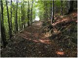 Črnivec - Planina Travnik